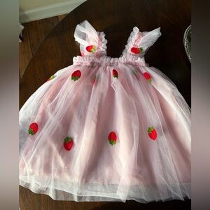 Pink Strawberry Embroidered Tulle Kids Dress